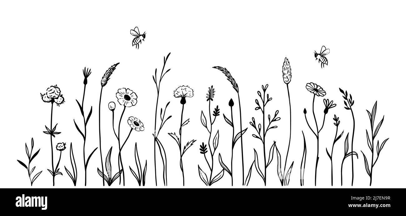 Ensemble de fleurs de champ sauvage. Motif d'esquisse de style join dessiné à la main élément floral sauvage pour un arrière-plan de printemps nature. Illustration vectorielle de la fleur et du champ d'herbe de jardin. Illustration de Vecteur