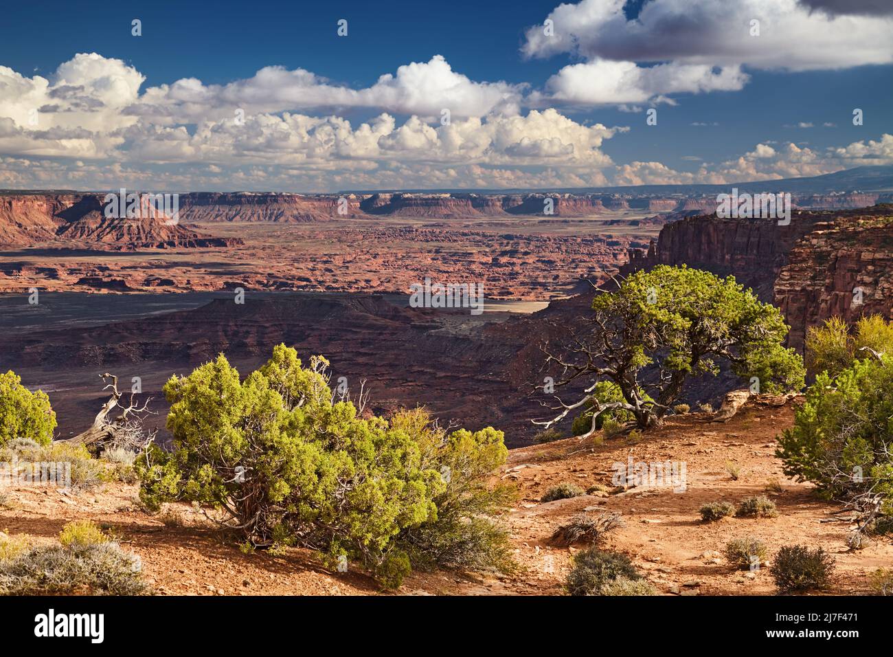 Island in the Sky, Canyonlands National Park, Utah, USA Banque D'Images