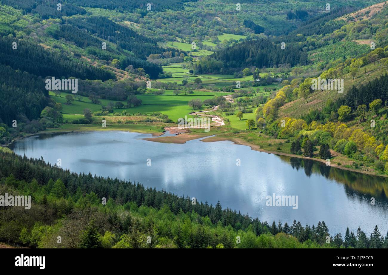 Vue sur la moitié supérieure du réservoir et de la vallée de Talybont, le jour de mai, sous le soleil, dans le parc national de Brecon Beacons Banque D'Images