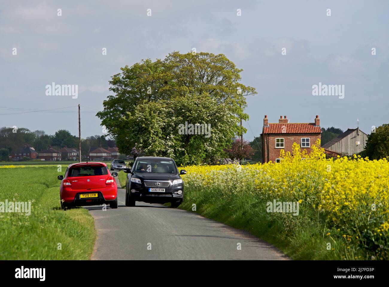 Voitures sur route étroite, maison et terre agricole près de Reness, East Yorkshire, Angleterre Royaume-Uni Banque D'Images