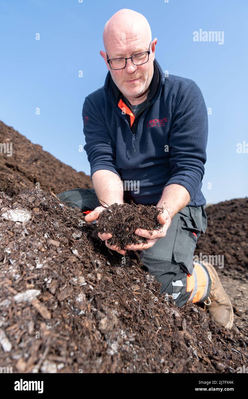 Un agriculteur inspecte une pile de fumier de cour de ferme qui a été compostée, pour aider à prévenir le lessivage de l'azote du sol. North Yorkshire, Royaume-Uni. Banque D'Images