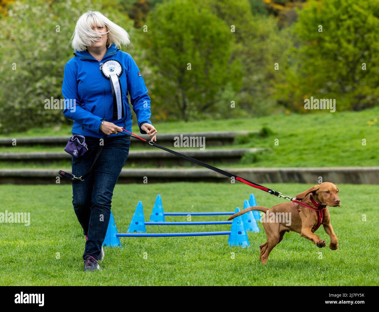 Edinburgh, Royaume-Uni. 09 mai 2022 en photo : le conservateur MSP Sue Webber et son chien Alfie. Holyrood va aboyer fou alors que le concours Holyrood Dog of the Year revient à Édimbourg pour la quatrième année. L'événement vise à mettre en évidence le rôle unique que jouent les chiens dans la société et à donner aux MSP l'occasion de soulever des questions canines clés. Crédit : Rich Dyson/Alay Live News Banque D'Images