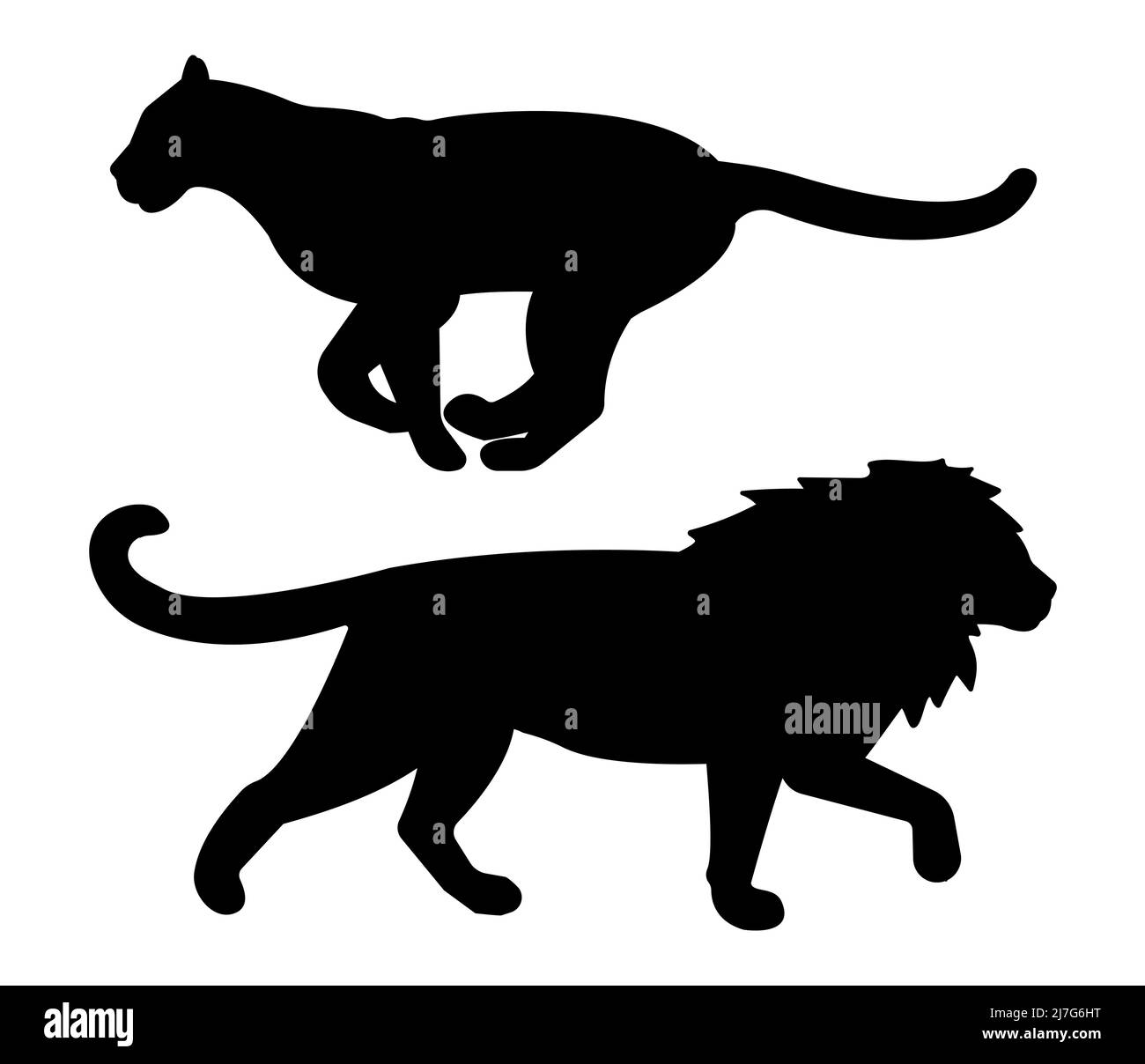 Silhouette de lion plat vectoriel et de lioness isolée sur fond blanc Illustration de Vecteur