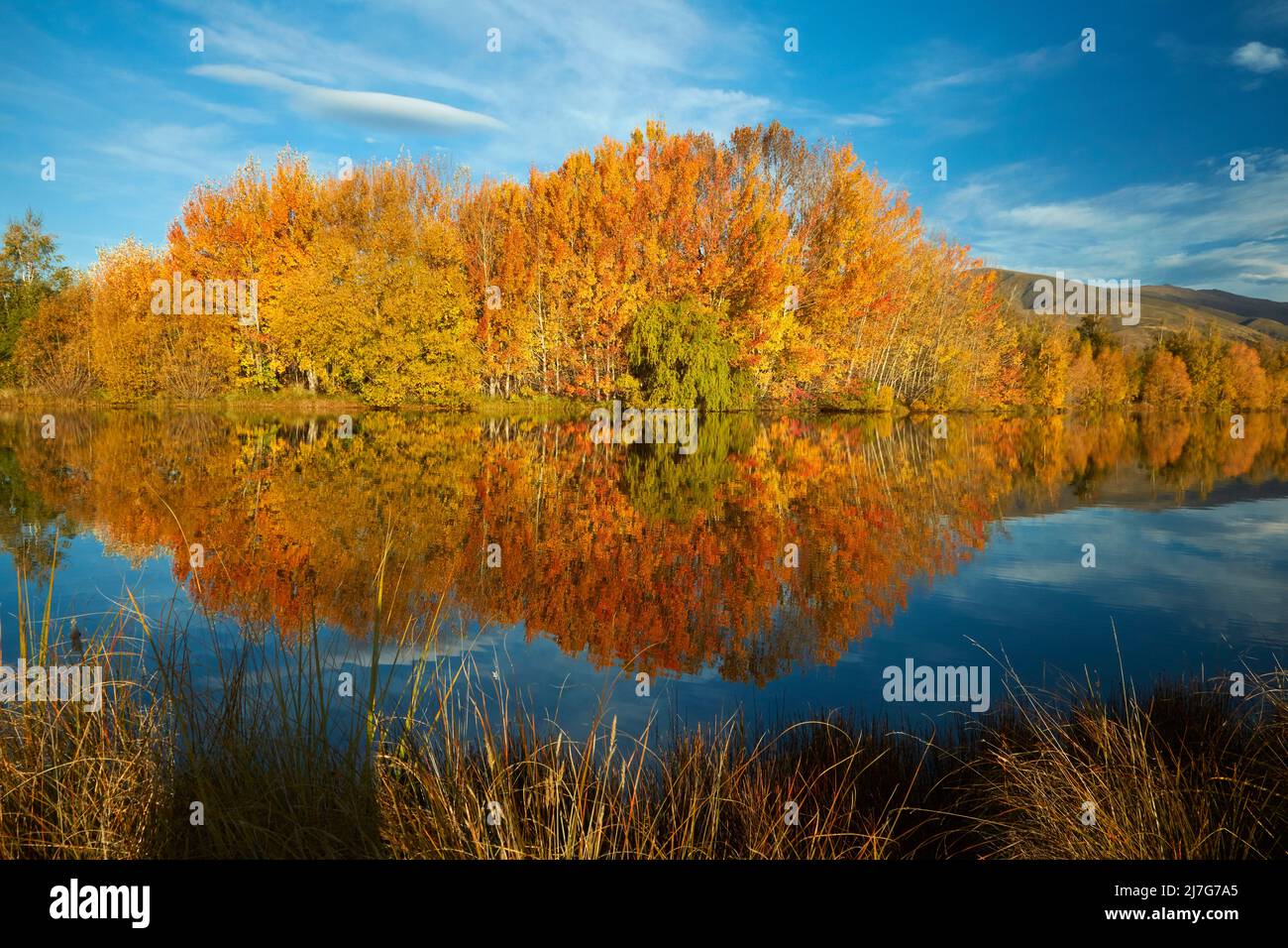 Réflexions d'automne dans l'étang de Kellands, près de Twizel, le district de Mackenzie, North Otago, South Island, Nouvelle-Zélande Banque D'Images