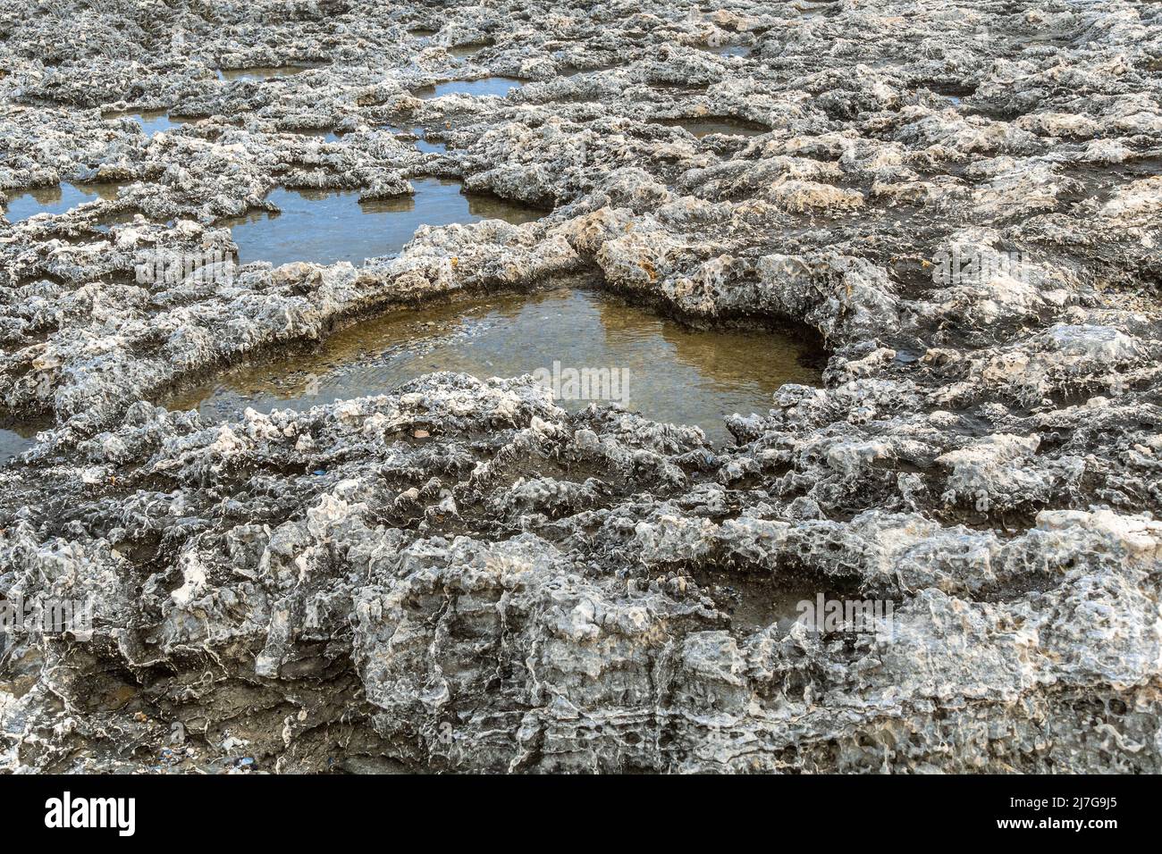 Les ondes de tempête créent de petites piscines de sel parmi les roches calcaires des côtes des Pouilles. Puglia, Italie, Europe Banque D'Images