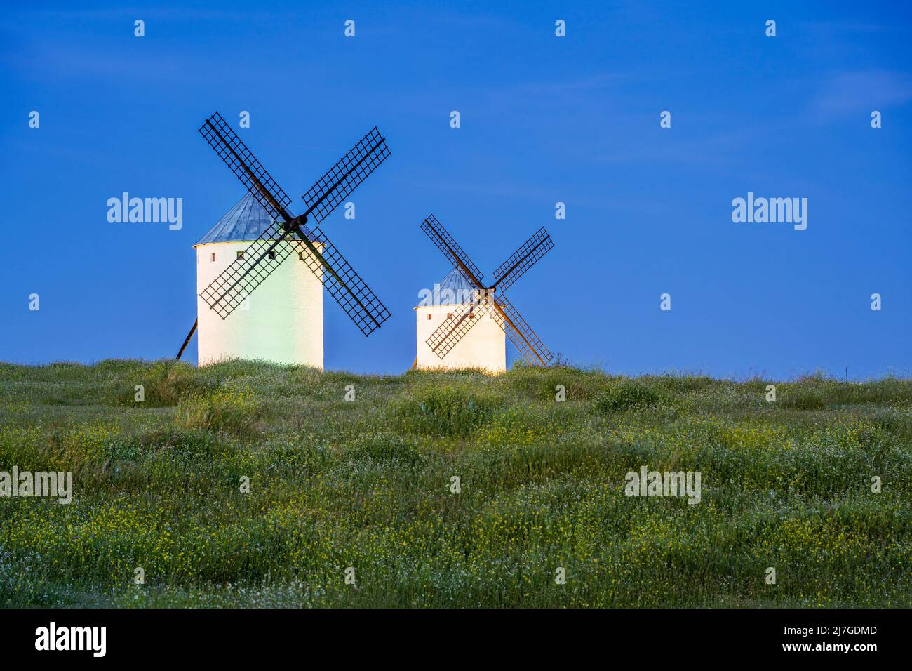 Moulins à vent typiques au crépuscule, Campo de Criptana, Castilla-la Mancha, Espagne Banque D'Images