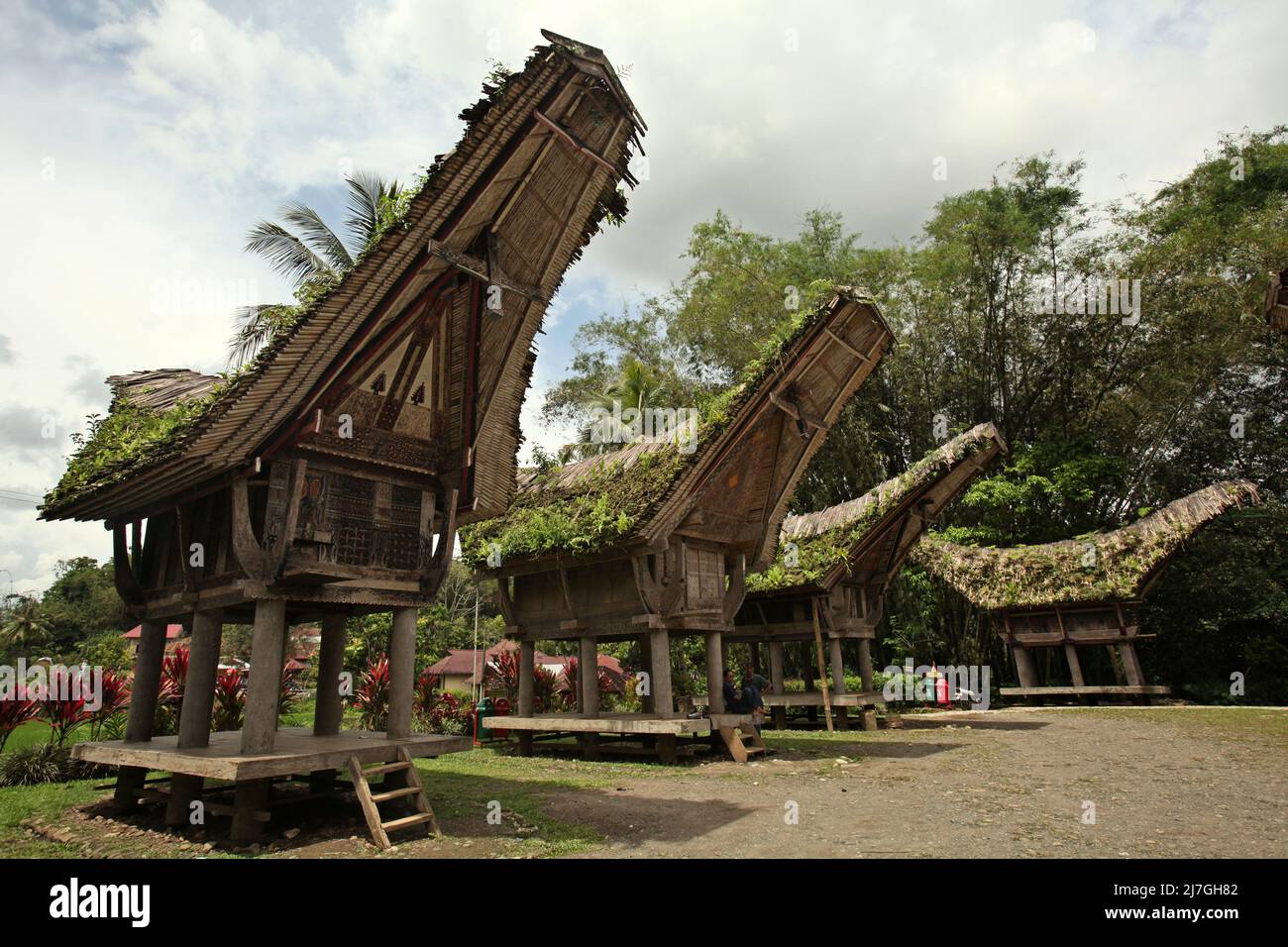 Granaries dans l'architecture traditionnelle des tongkonans dans le village de Kete Kesu, au nord de la Toraja, au sud de Sulawesi, en Indonésie. Banque D'Images