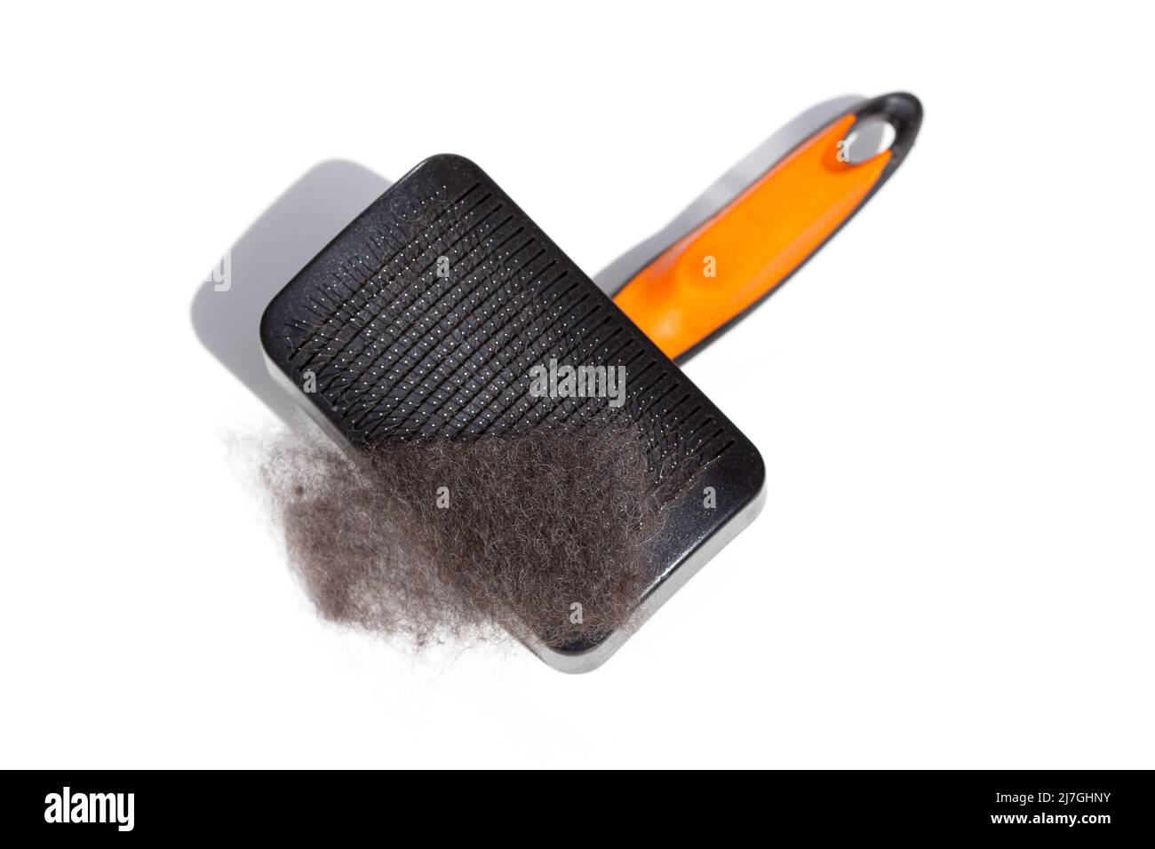 Nettoyant pour chien en fourrure chien à cheveux noirs isolés sur fond blanc. Petits balais de slacker pour chien Banque D'Images