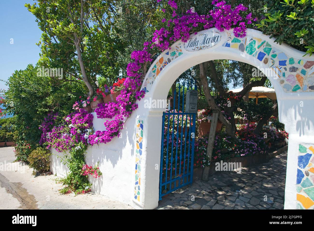 Entrée de la Villa Maria, Bougainvillea (Bougainvillea spectabilis) dans le pittoresque village de pêcheurs, Sant' Angelo, île d'Ischia, Italie Banque D'Images