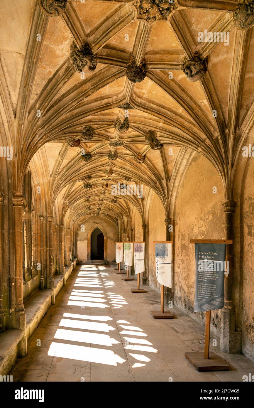 Chemin de cloître nord de l'abbaye de Lacock, souvent présenté dans les films de Harry Potter, Wiltshire, Angleterre, Royaume-Uni. Banque D'Images