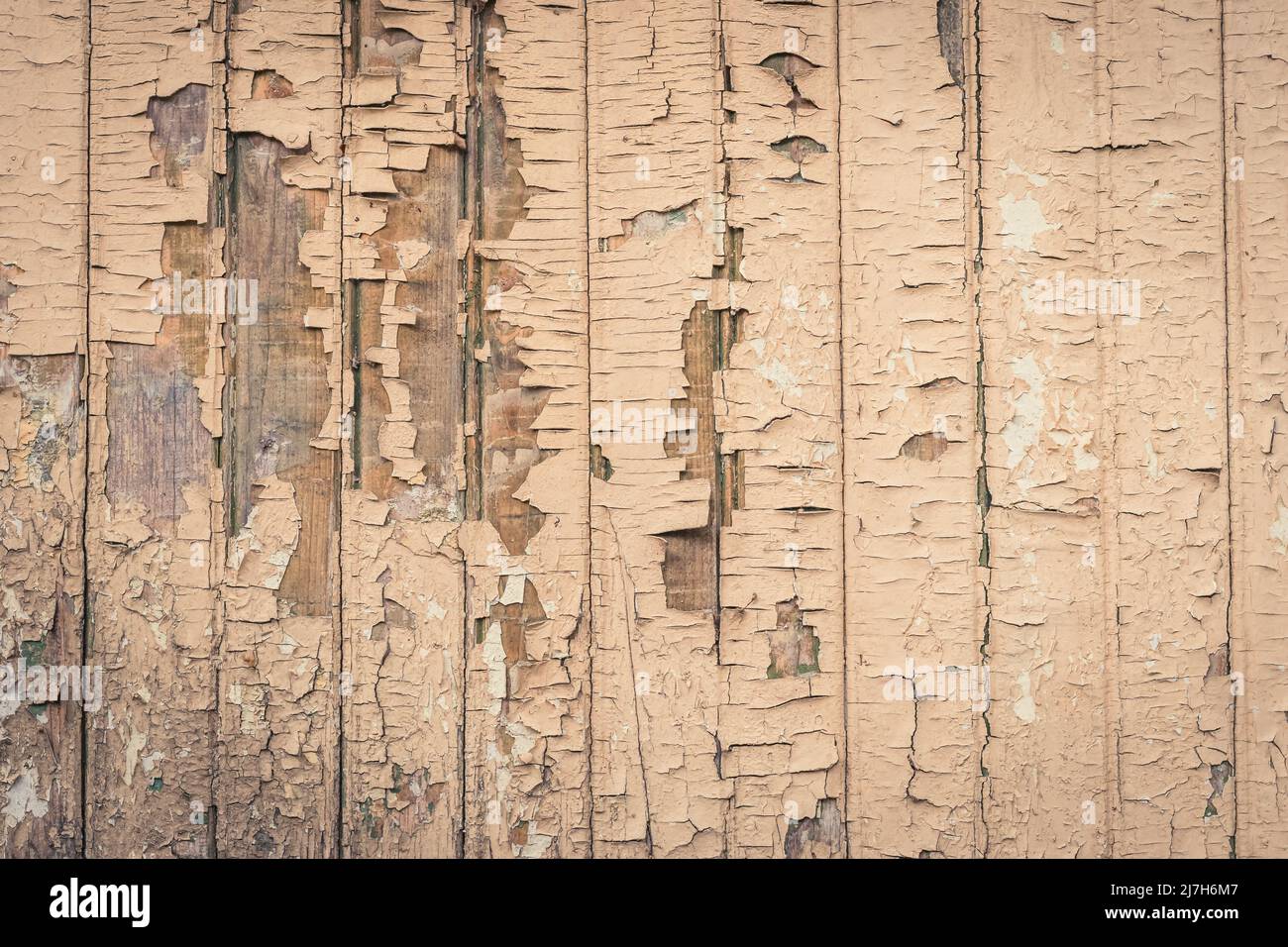 Peinture écaillée sur l'ancienne clôture en bois. Fond de gringe abstrait beige pastel, surface fissurée, texture de motif de planche Banque D'Images