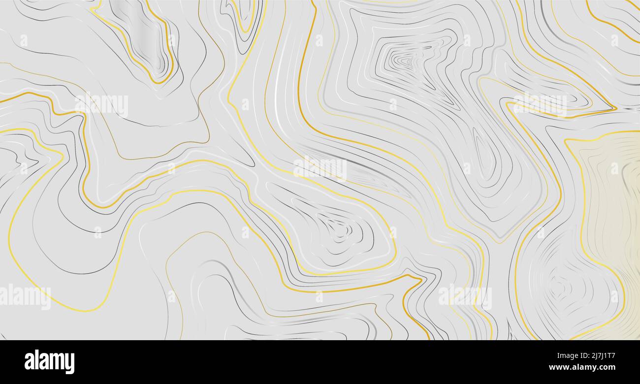 Fond de carte topographique doré de luxe sur fond gris Illustration de Vecteur