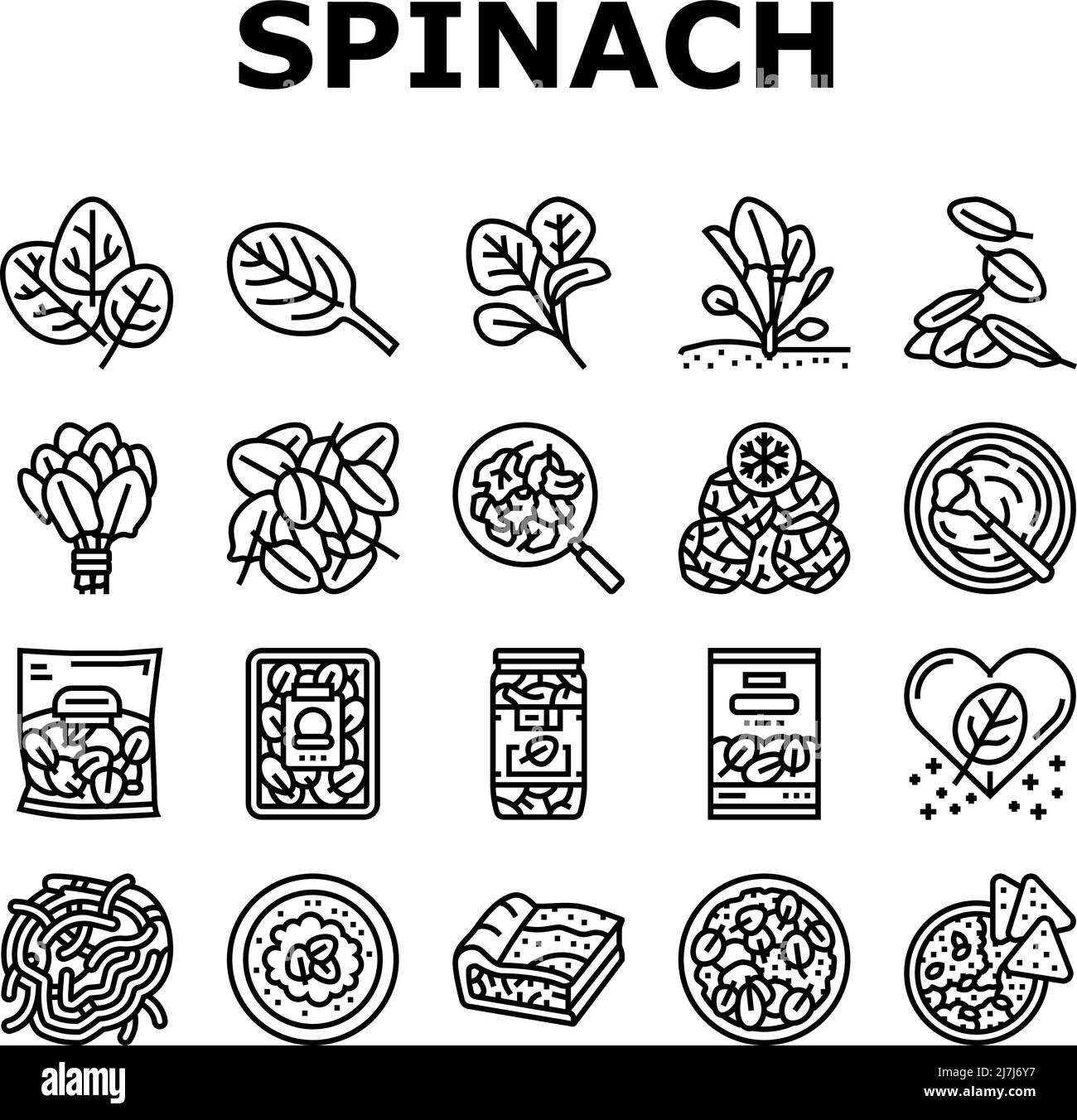 Ensemble d'icônes d'ingrédients de la saine alimentation aux épinards Vector Illustration de Vecteur