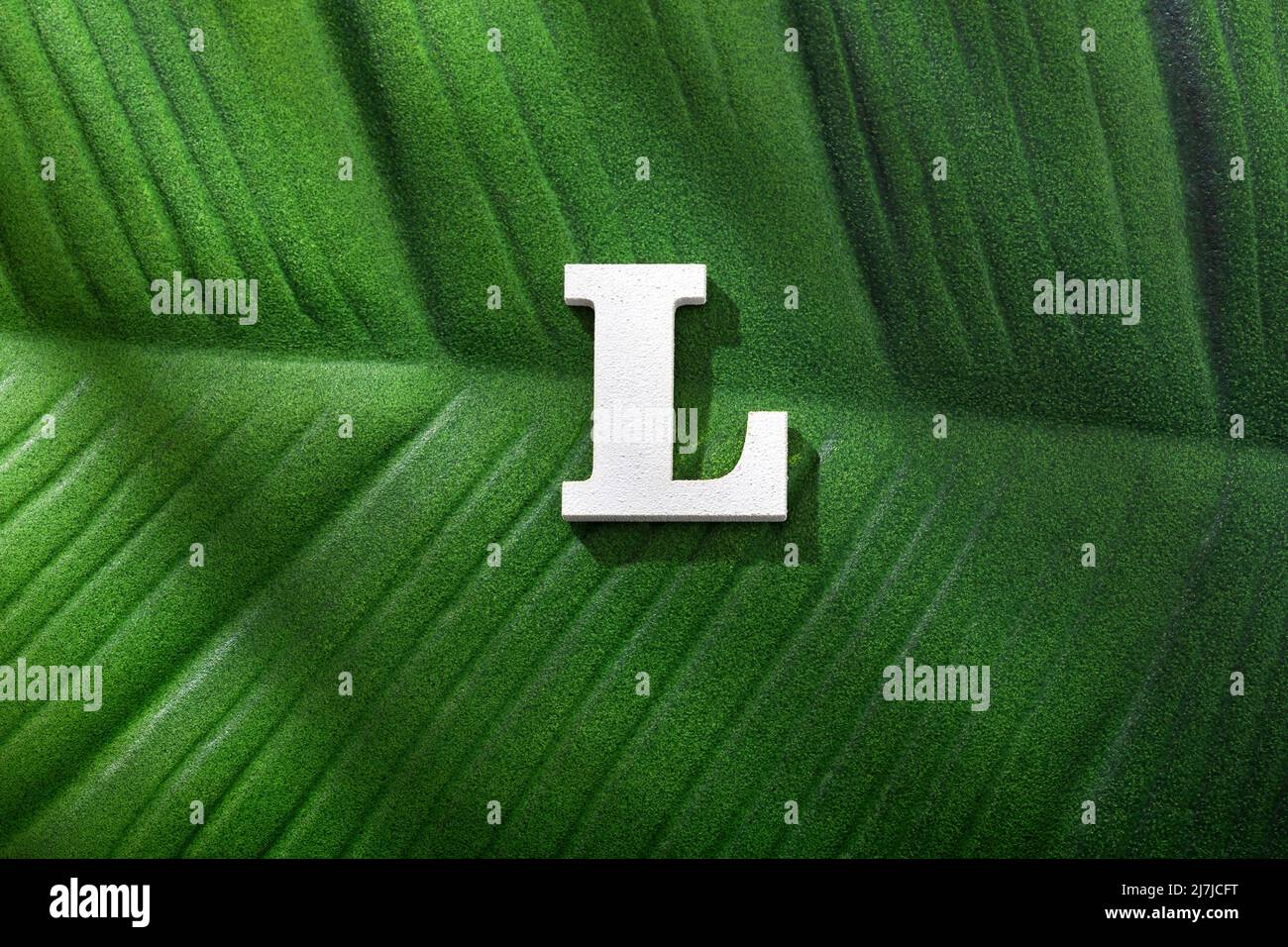 Lettre L majuscule sur la feuille tropicale de la forêt Banque D'Images