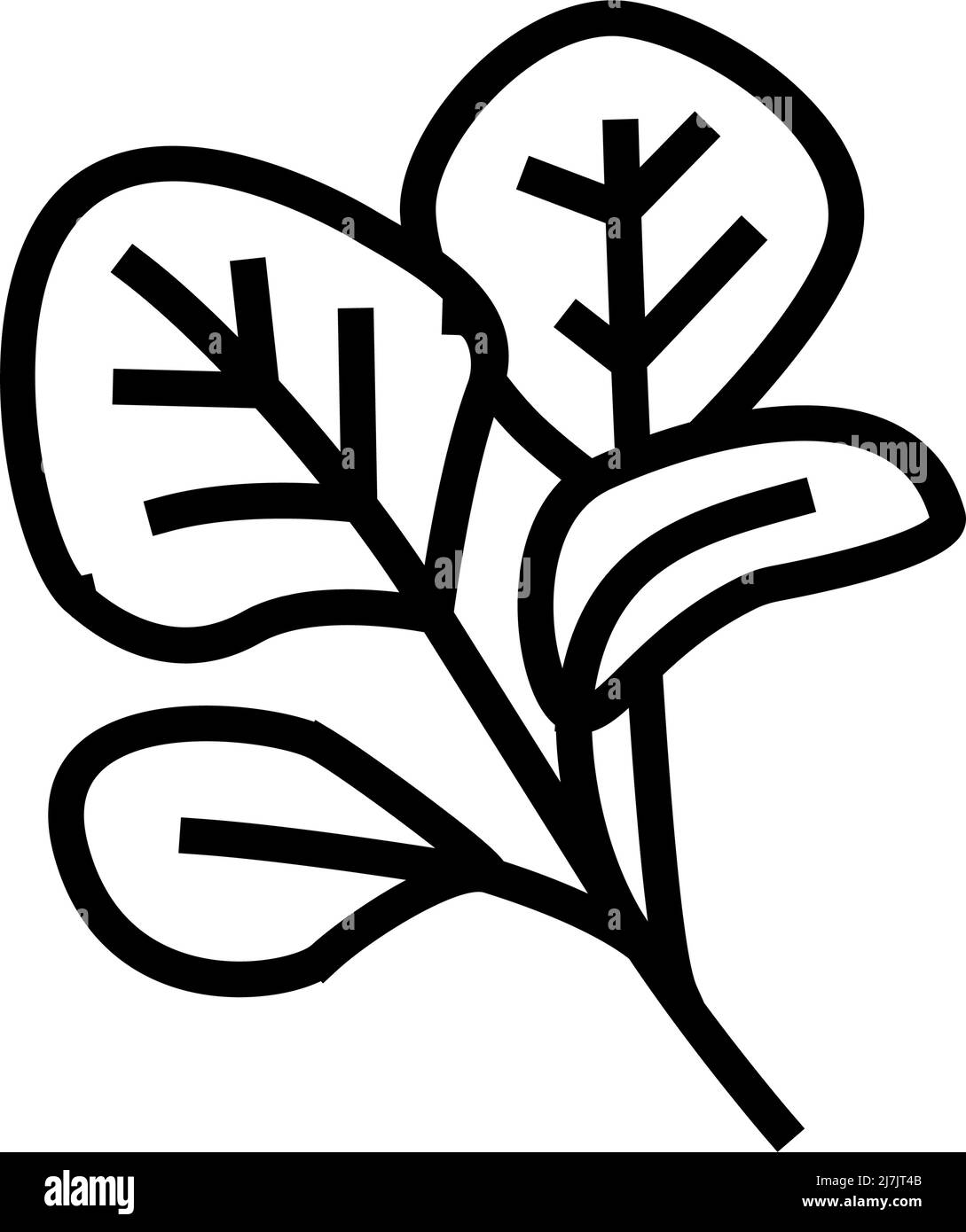 illustration vectorielle de l'icône représentant une ligne rouge d'épinards Illustration de Vecteur