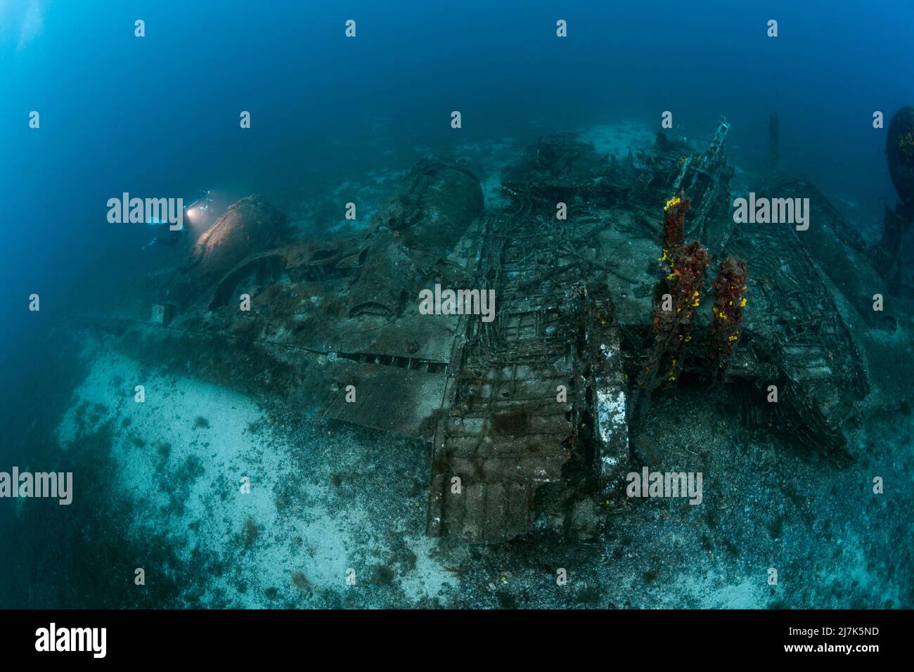 Plongée sous-marine au B-24 Liberator Bomber Wreck, île de vis, mer Méditerranée, Croatie Banque D'Images