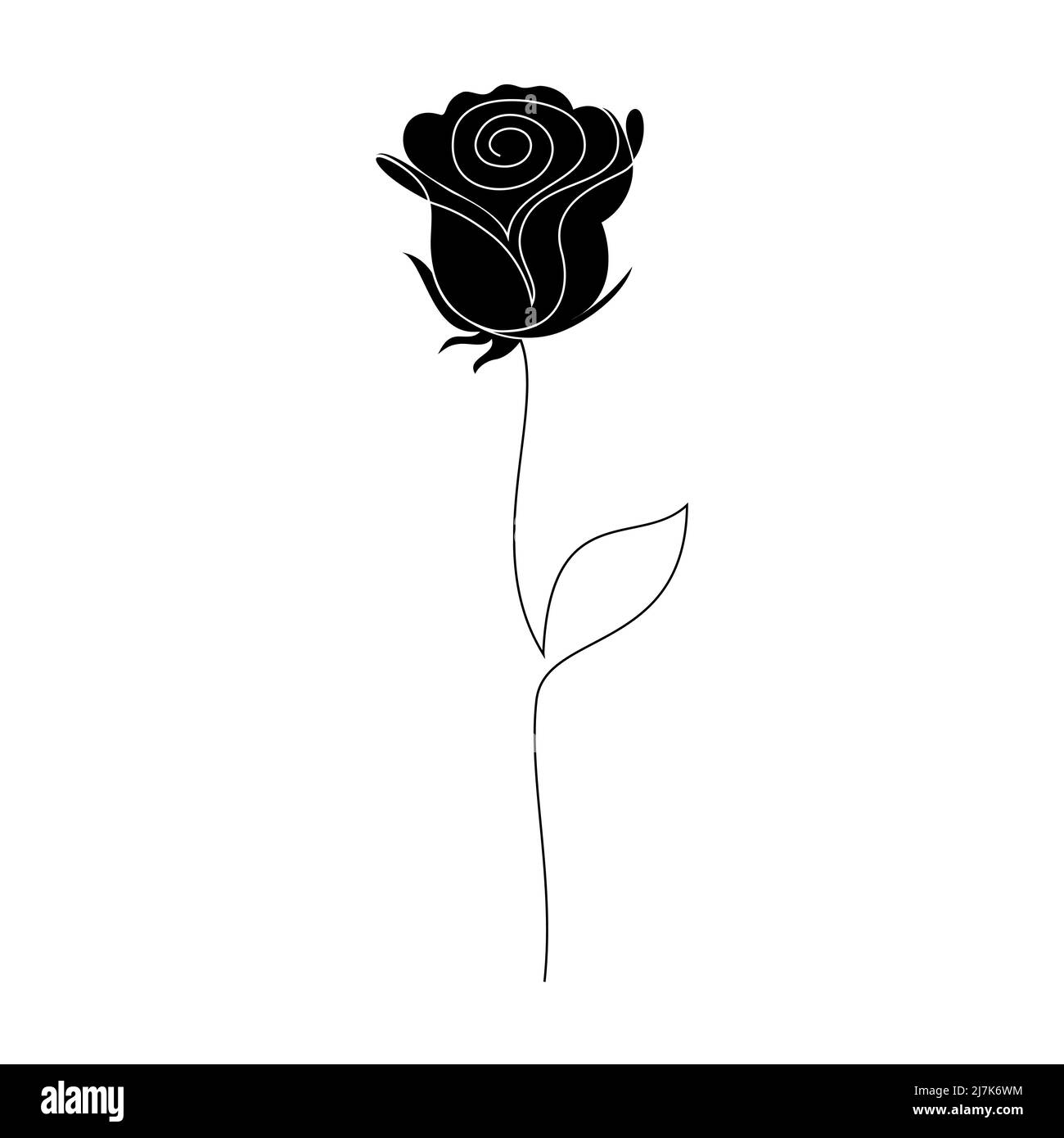 Fleur rose sur blanc Illustration de Vecteur