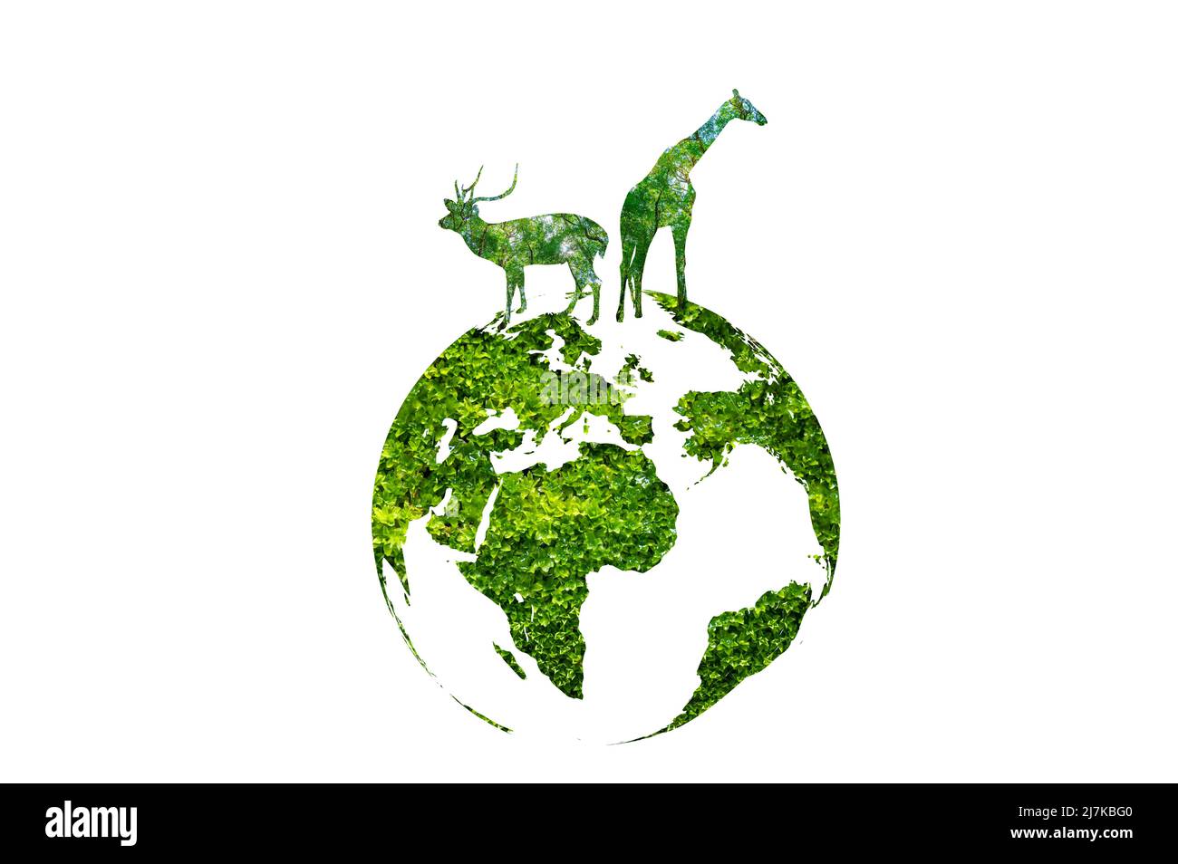 Monde vert avec silhouette de la faune, concept de conservation de la faune. Banque D'Images