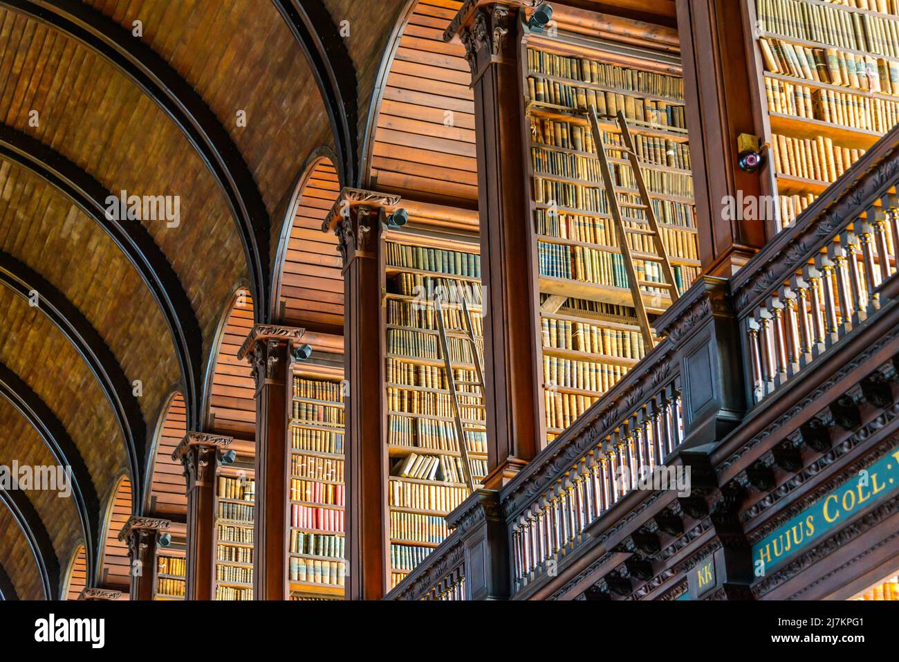 Long passage voûté avec clôtures et colonnes dans la bibliothèque publique légère de l'université avec collection de livres intéressants sur les étagères Banque D'Images