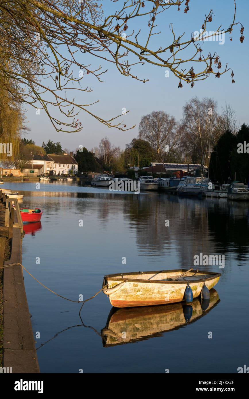 Les Norfolk Broads avec le soleil couchant mettant en valeur les bateaux à rames amarrés sur la rivière Yare, Thorpe St Andrew, Norwich, Norfolk, Angleterre, ROYAUME-UNI Banque D'Images