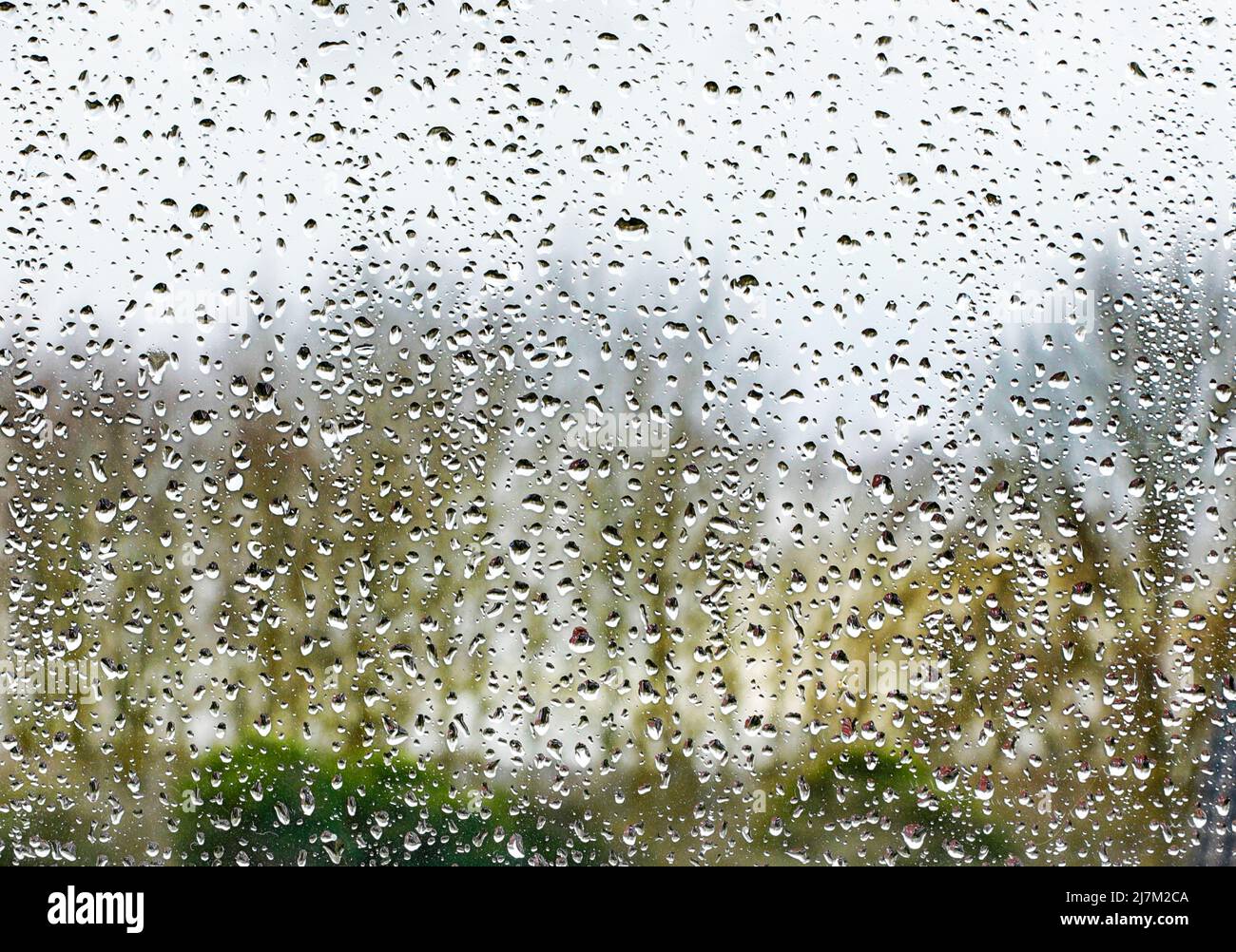 Gouttes de pluie sur une vitre. Banque D'Images