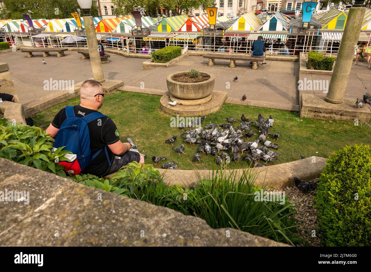 Homme nourrissant des pigeons (Columbidae) avec du pain au célèbre marché Norwich norwich norfolk england Banque D'Images