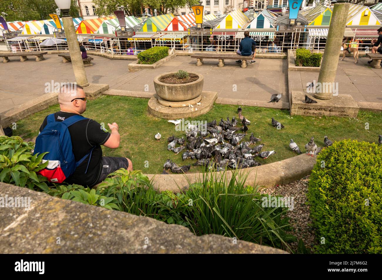 Homme nourrissant des pigeons (Columbidae) avec du pain au célèbre marché Norwich norwich norfolk england Banque D'Images