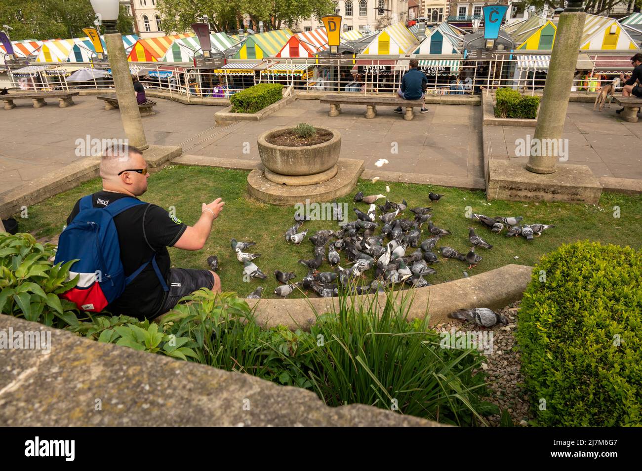 Homme nourrissant des pigeons (Columbidae) avec du pain au célèbre marché Norwich norwich norfolk england Banque D'Images