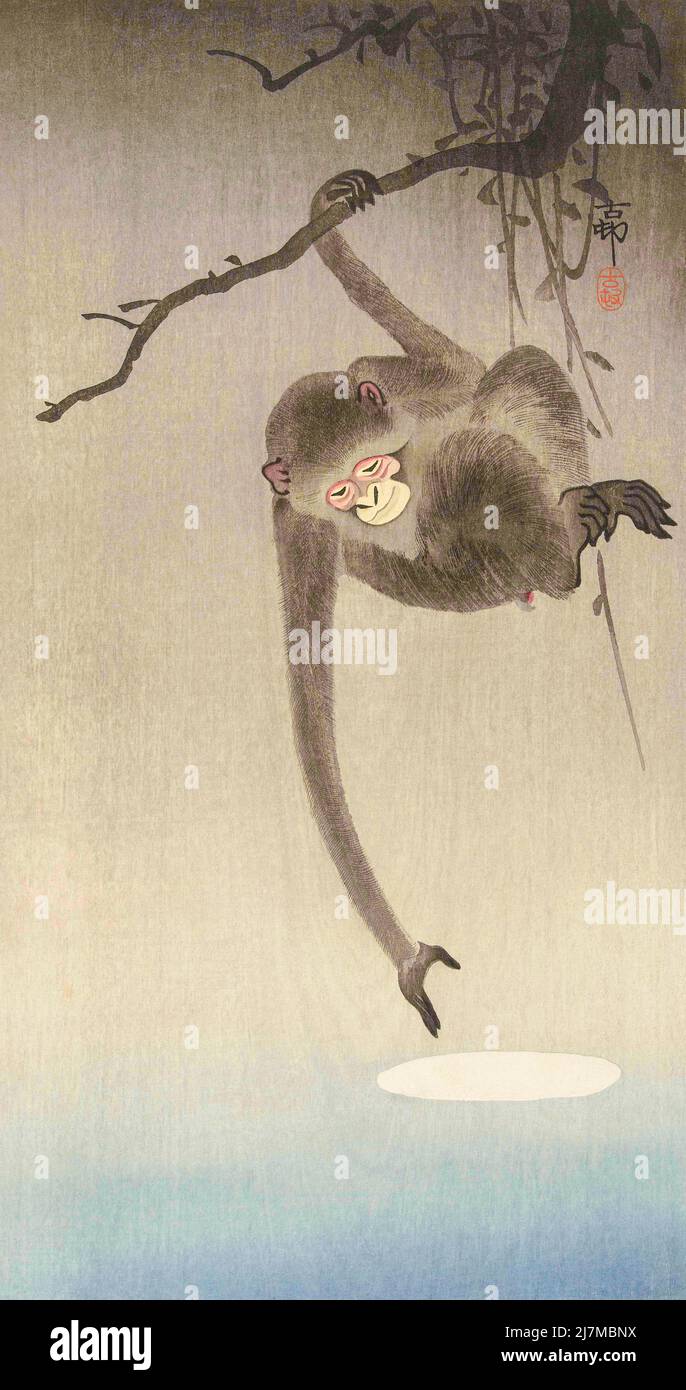 Monkey atteint pour la réflexion de la Lune, par l'artiste japonais Ohara Koson, 1877 - 1945. Ohara Koson faisait partie du mouvement Shin-hanga, ou de nouveaux tirages. Banque D'Images