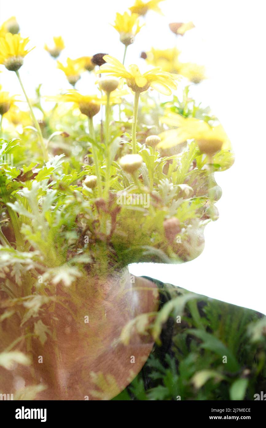 Une image de fleurs jaunes combinée à un portrait de profil Banque D'Images