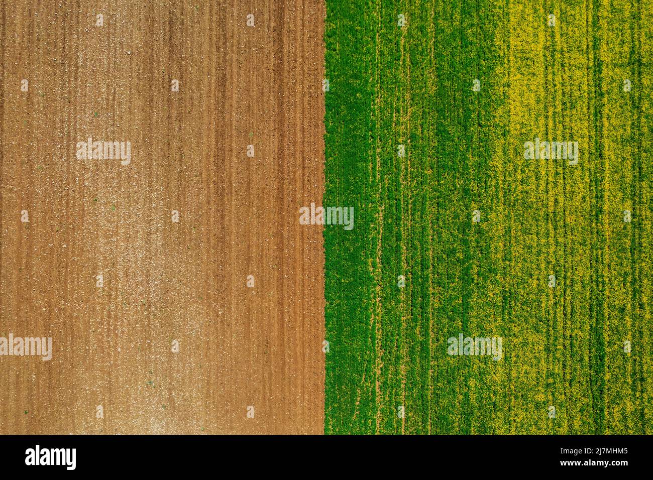 Vue aérienne d'un champ cultivé, Castilla-la Mancha, Espagne Banque D'Images