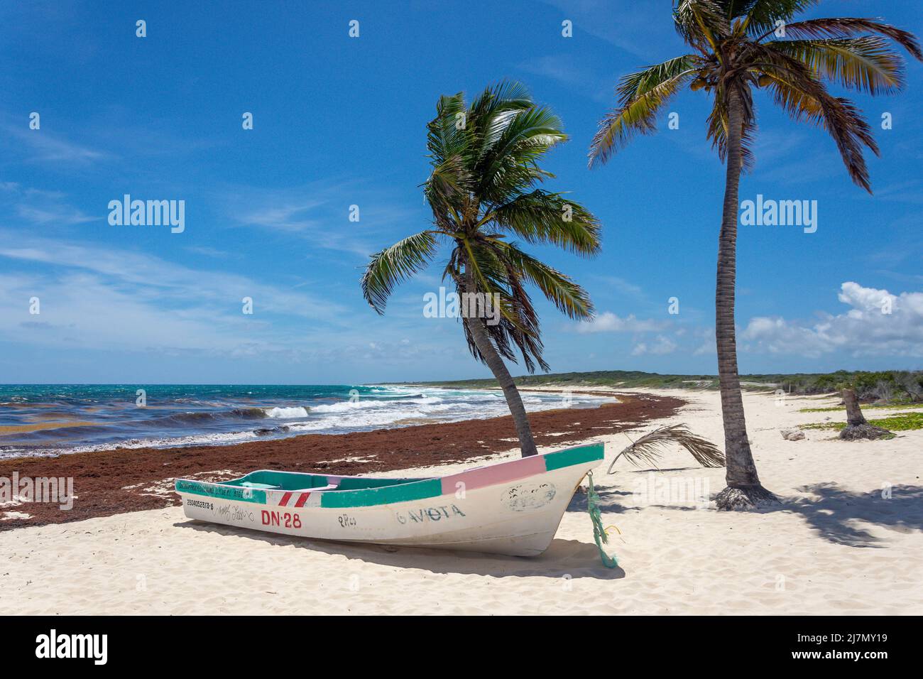 Bateau de pêche coloré sur Playa Chen Rio, Cozumel, Quintana Roo, Mexique Banque D'Images