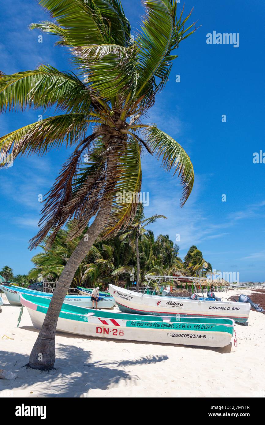 Bateaux de pêche colorés sur Playa Chen Rio, Cozumel, Quintana Roo, Mexique Banque D'Images