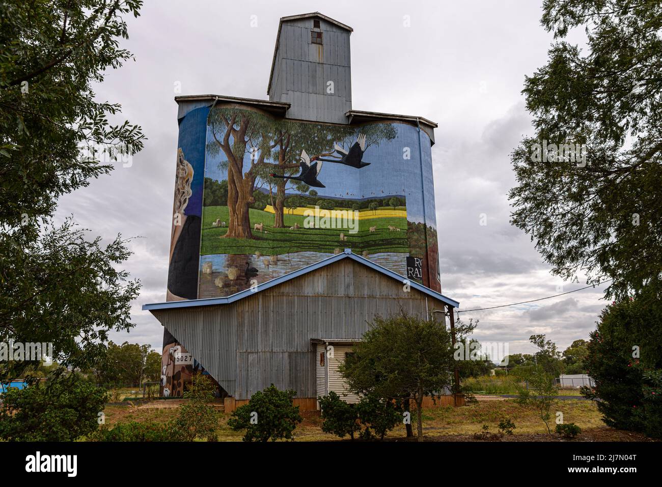 L'art de la flore et de la faune du silo Dunedoo peint par Peter Mortimore Banque D'Images