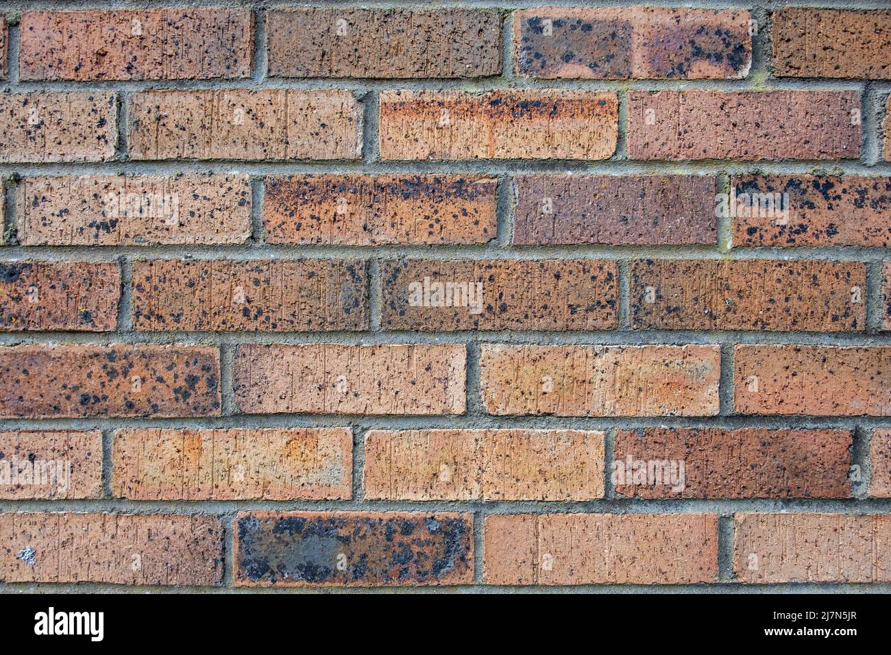 Mur en briques de terre cuite, surface vieillie avec texture poreuse et