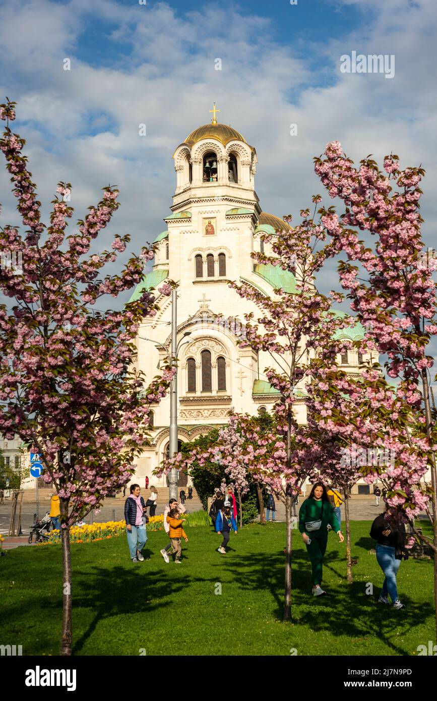 Prog Cathédrale orthodoxe Alexander Nevsky à Sofia Bulgarie comme vu à travers les cerisiers en fleurs et les gens appréciant le jour ensoleillé du printemps Banque D'Images