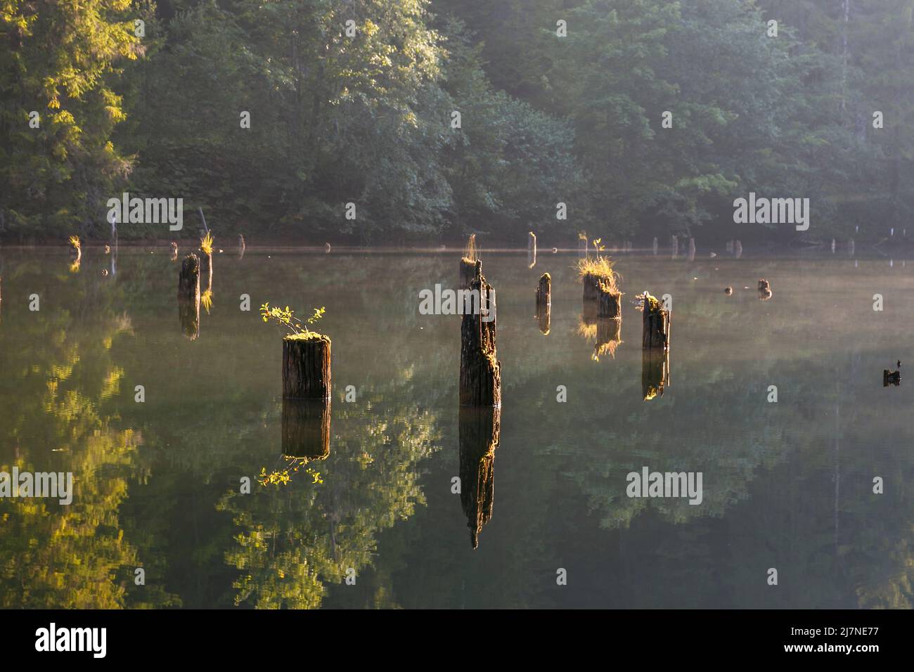 Lacul rosu Banque de photographies et d’images à haute résolution - Alamy