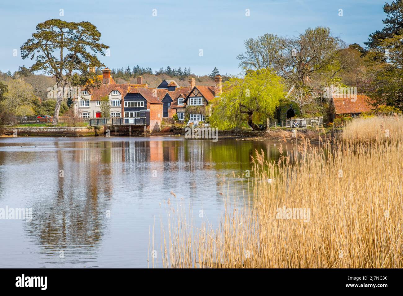 Rivière Beaulieu et village dans la New Forest, Hampshire Banque D'Images
