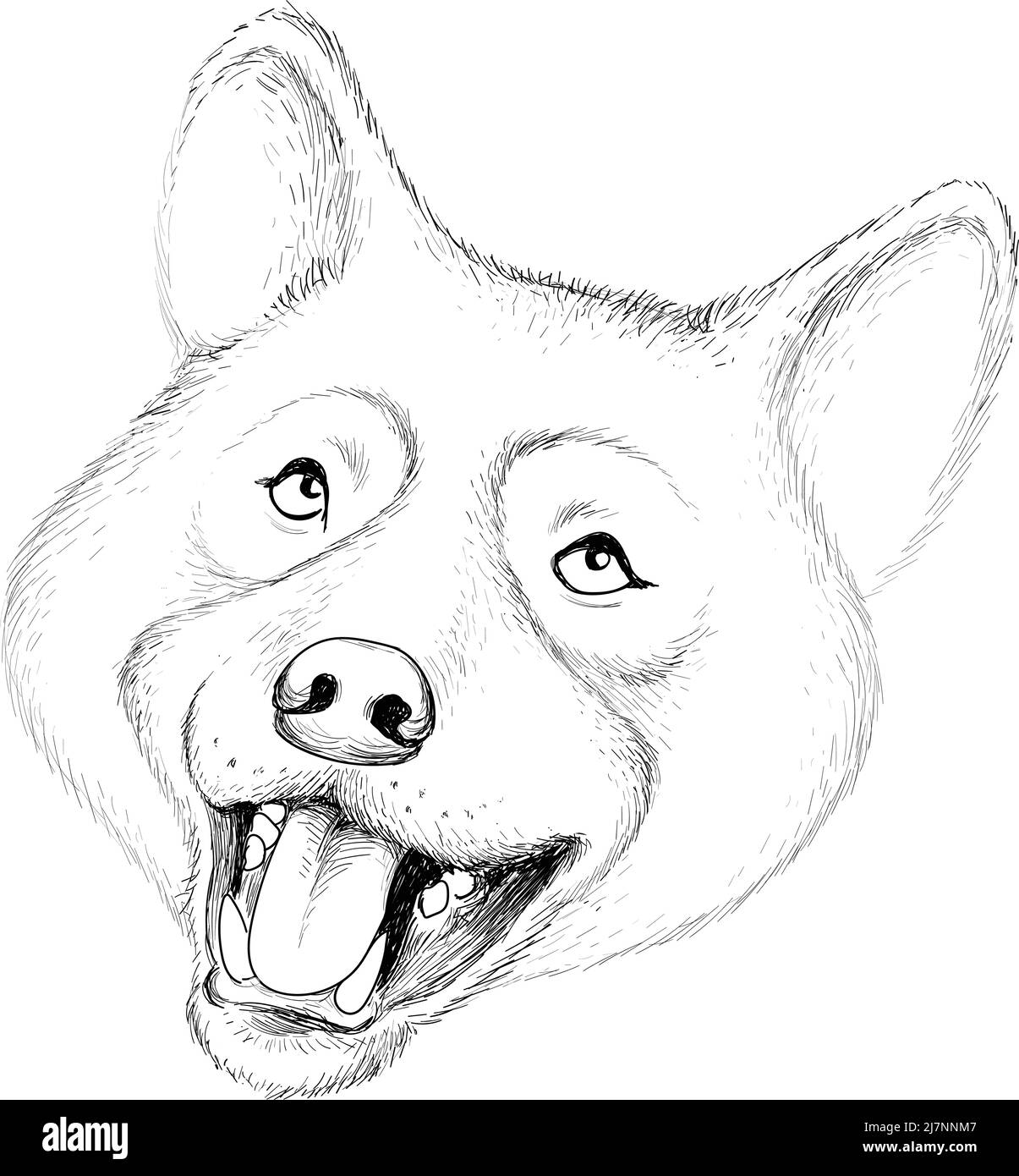 Le logo Vector chien ou loup pour tatouage, T-shirt ou extérieur. Joli imprimé chien ou loup sur fond. Ce dessin à la main serait agréable à M. Illustration de Vecteur