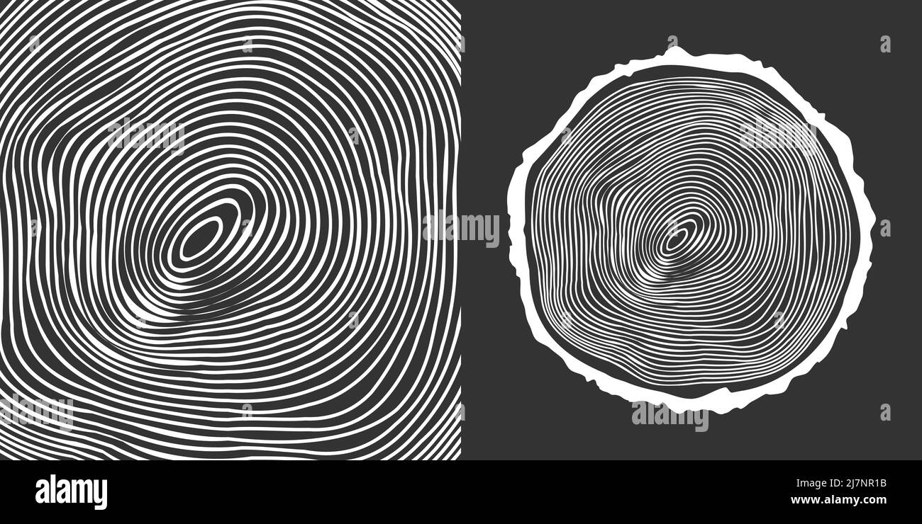 Tronc d'arbre rond coupé, tranches de pin scié ou de chêne. Bois scié, bois. Texture en bois blanc avec anneaux. Esquisse dessinée à la main. Illustration vectorielle Illustration de Vecteur