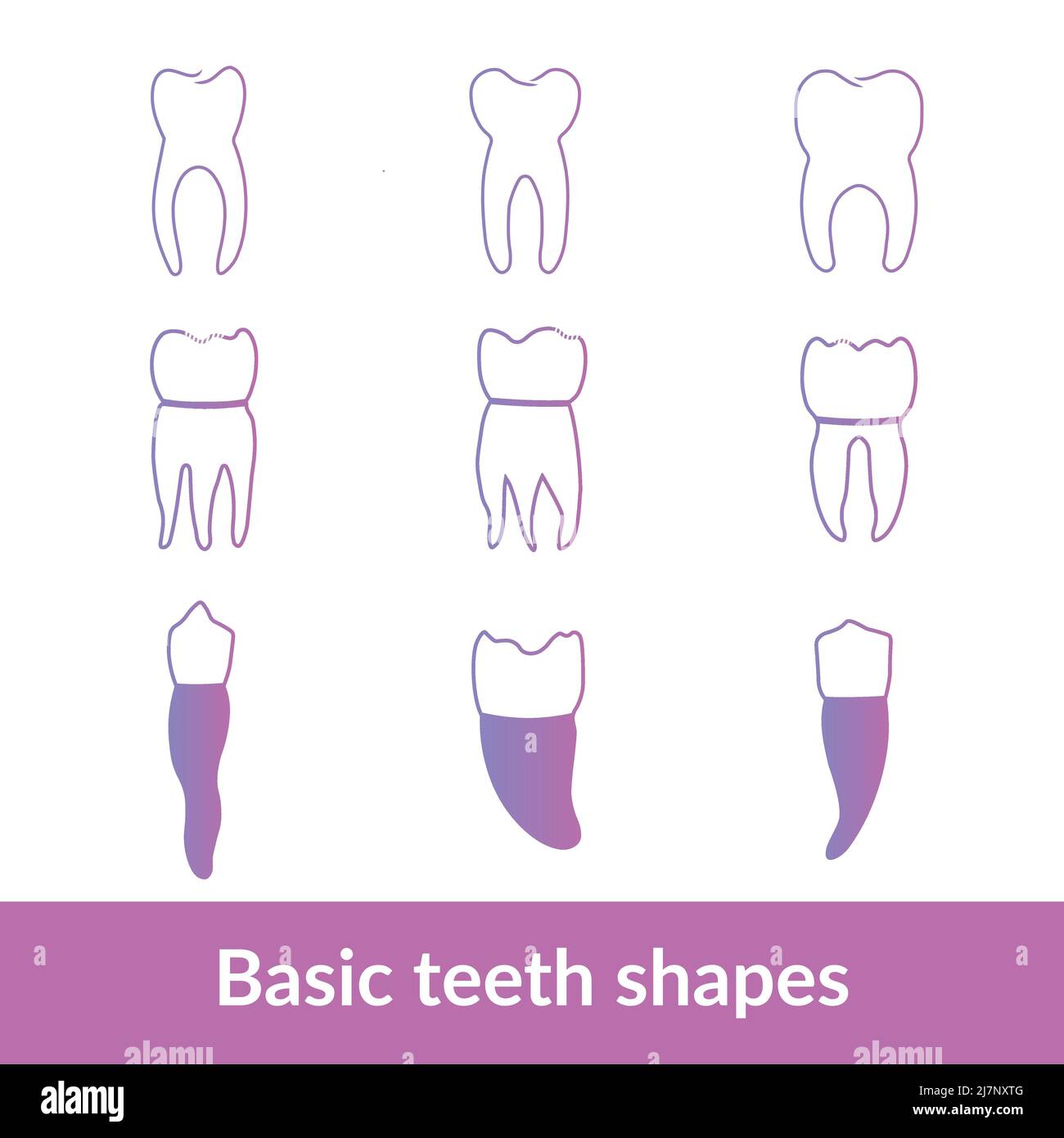 Définissez les formes et les icônes des dents de base en couleurs néon Illustration de Vecteur