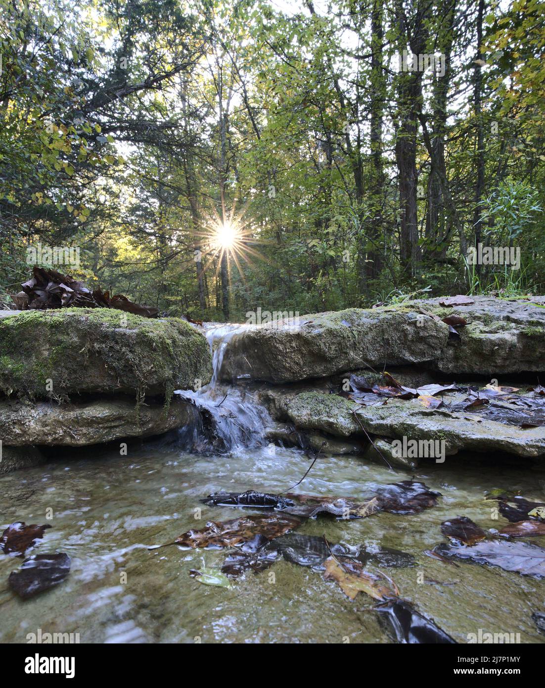 Portrait d'une petite cascade au lever du soleil à l'automne dans le Kentucky. Banque D'Images