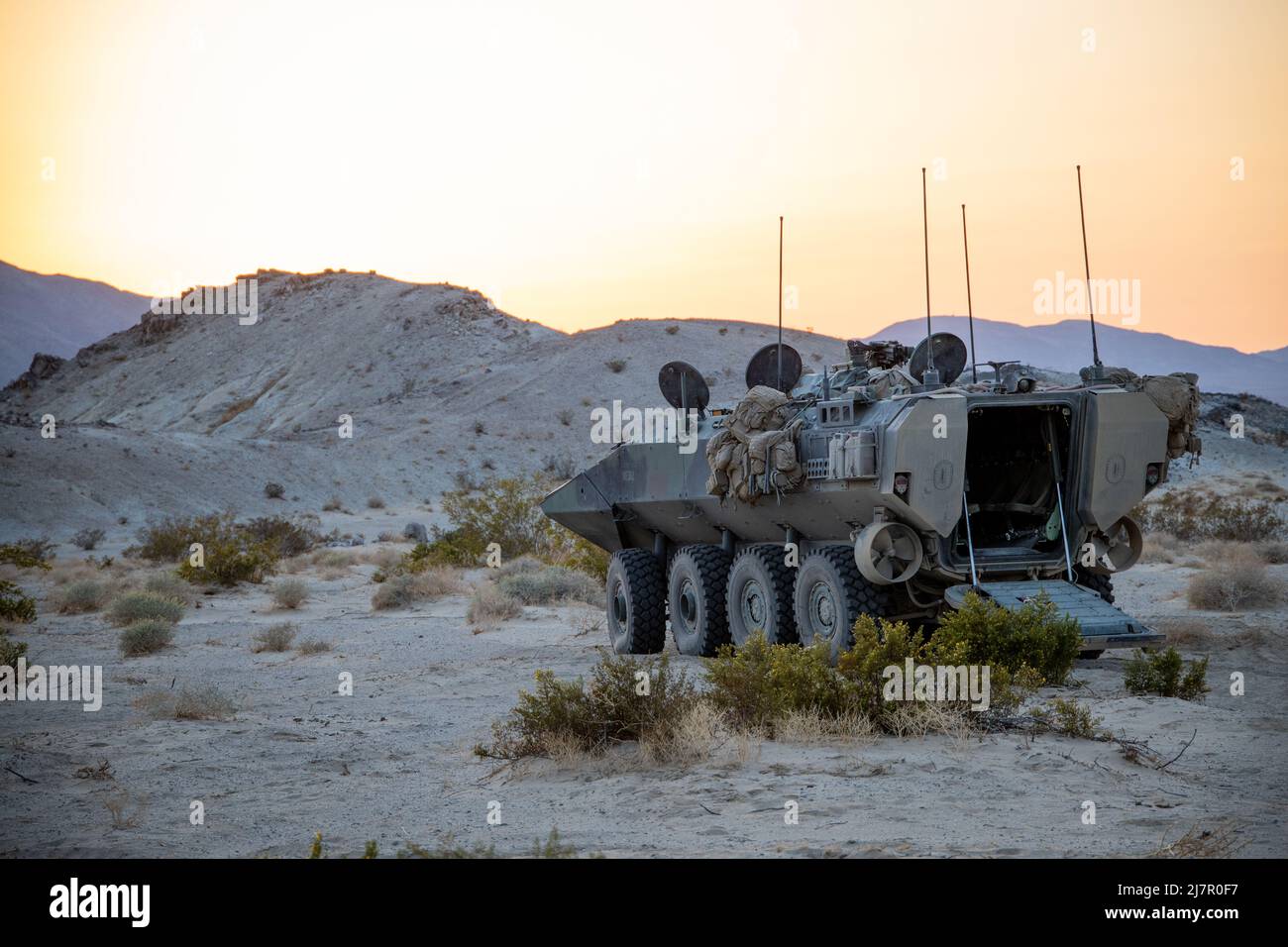 U.S. Marines with Bravo Company, 3D Assault Amphibian Battalion, 1st Marine Division, détiennent la sécurité pendant l'exercice d'entraînement intégré (ITX) 3-22 au Marine corps Air Ground combat Center Twentynine Palms, Californie, le 24 avril 2022. ITX est une évolution d'entraînement d'un mois comprenant plusieurs gammes pour affiner la manœuvre d'armes combinées dans les opérations de combat offensives et défensives. (É.-U. Photo du corps marin par Cpl. Jacob Yost) Banque D'Images