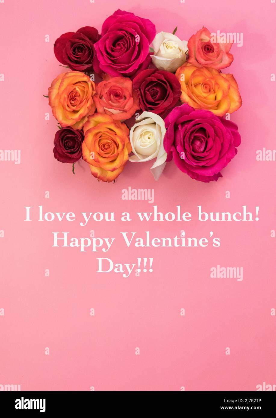 Bouquet de fleurs roses sur fond rose et texte de la Saint-Valentin en blanc. Banque D'Images