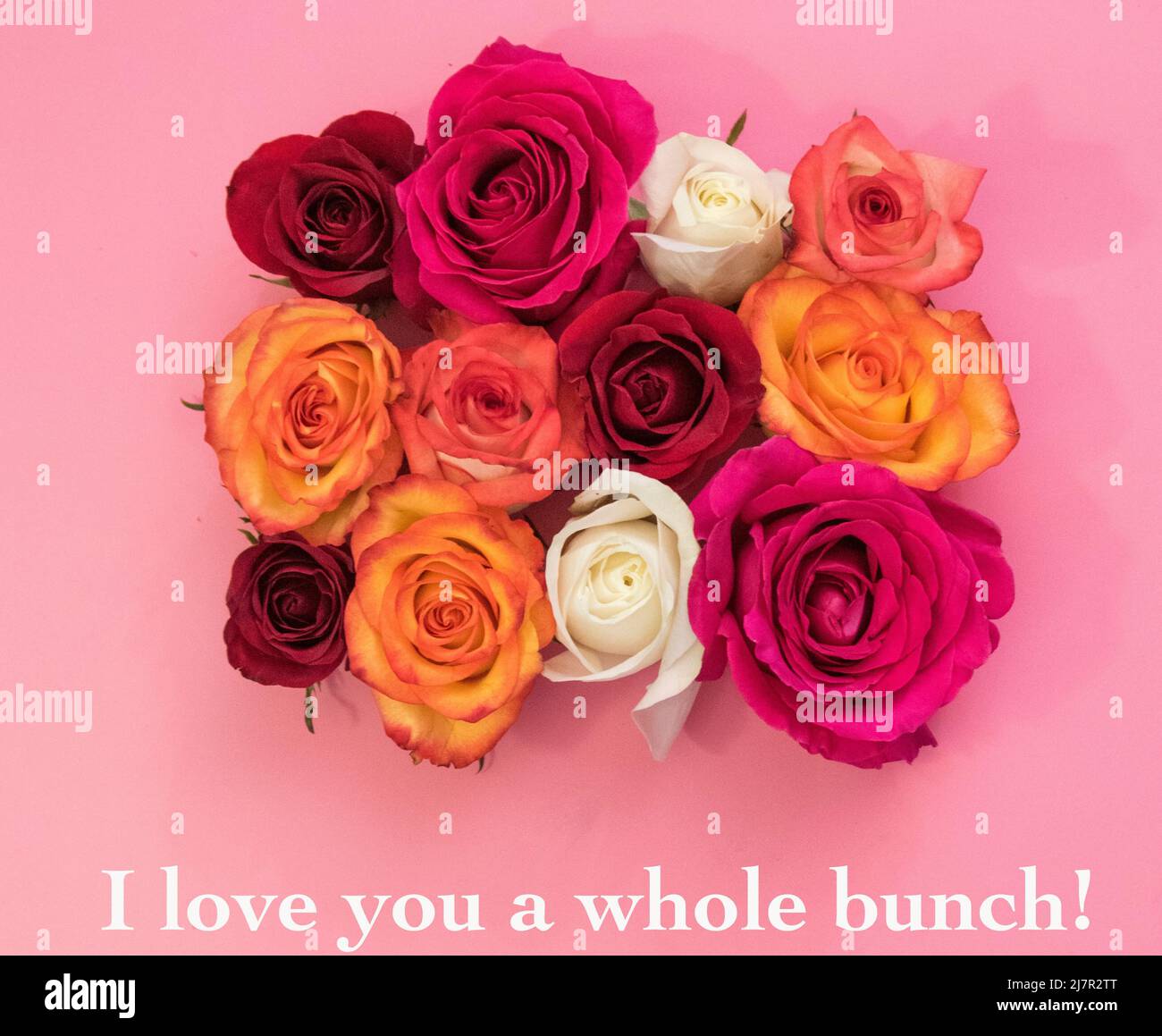 Bouquet de fleurs roses sur fond rose et texte de la Saint-Valentin en blanc. Banque D'Images