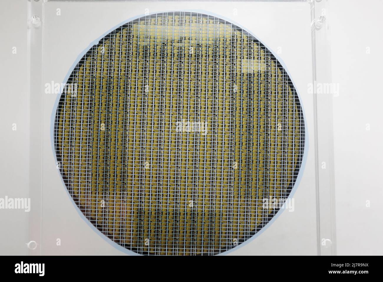 Plaquette de silicium semi-conducteur dans un plateau transparent en plastique mise au point sélective. Banque D'Images