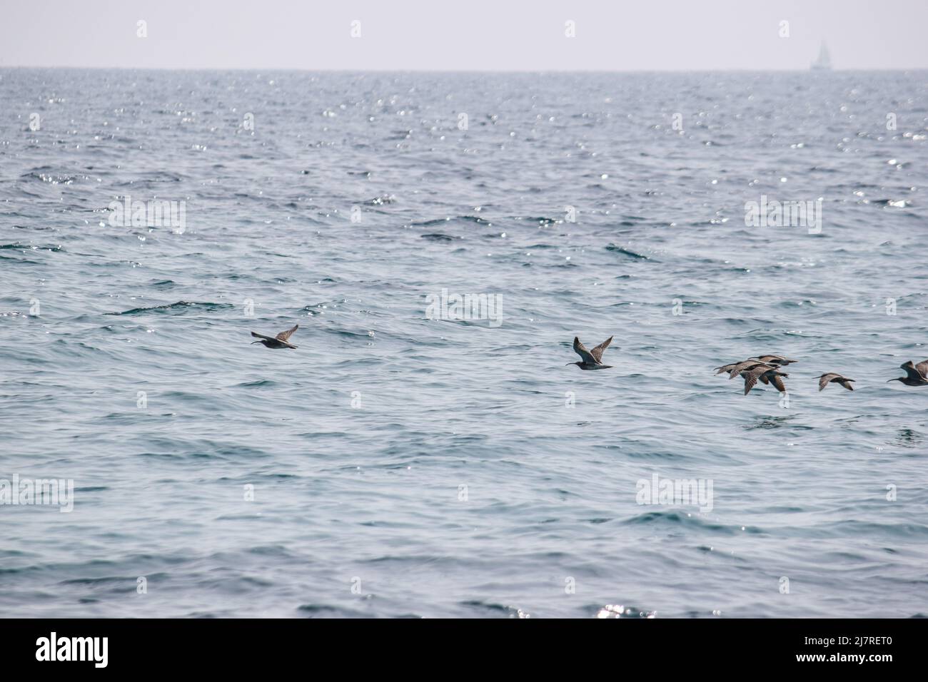 Vault Beach 290422 Banque D'Images