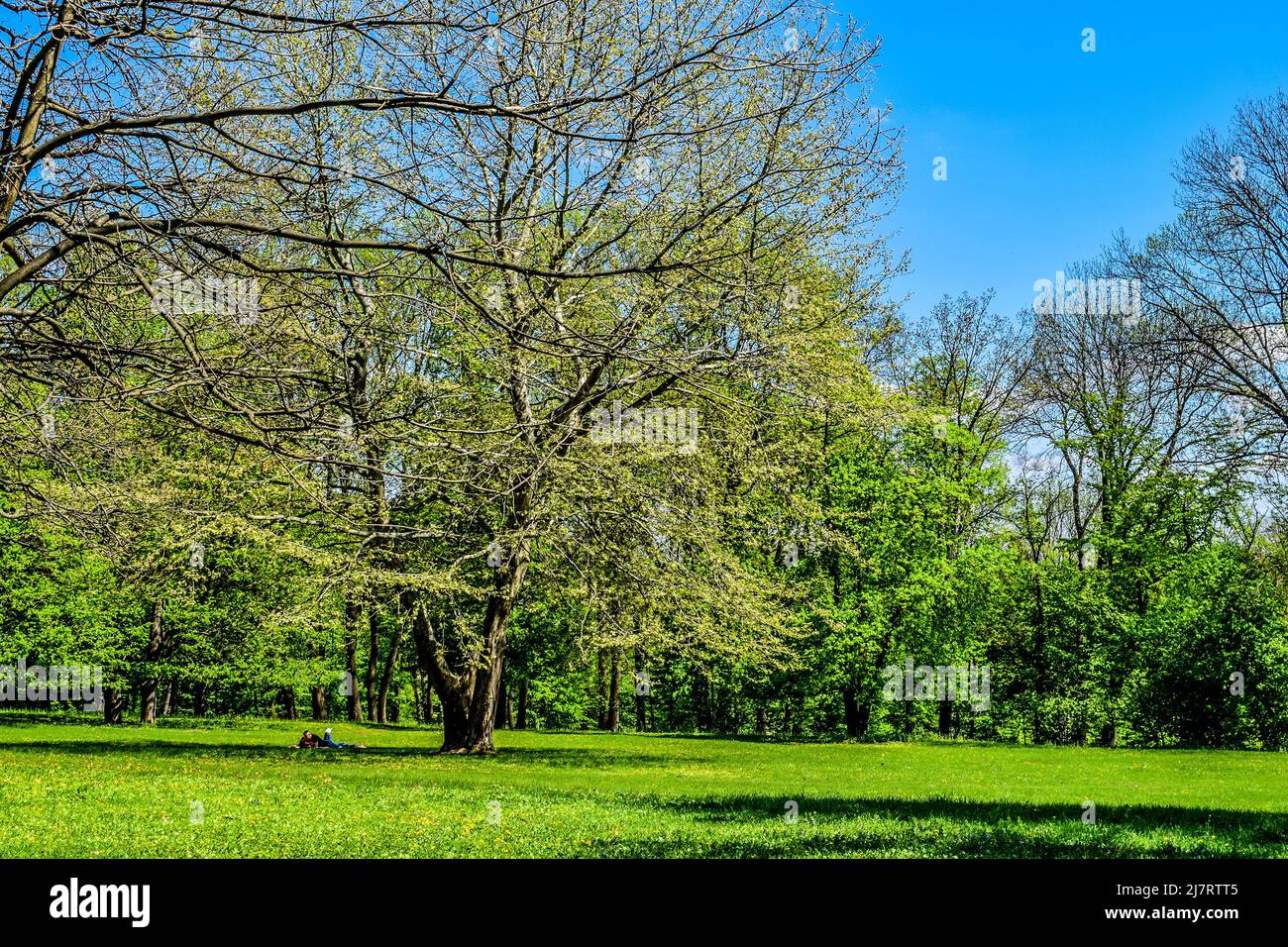 Paysages pittoresques dans le parc dendrologique. Banque D'Images Paysages pittoresques dans le parc dendrologique. Banque D'Images