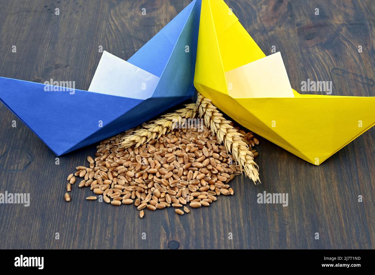 Le drapeau ukrainien colore les bateaux à base d'origami et le grain de blé avec des épis de blé mûrs. Concept de problèmes de flottement du grain Banque D'Images