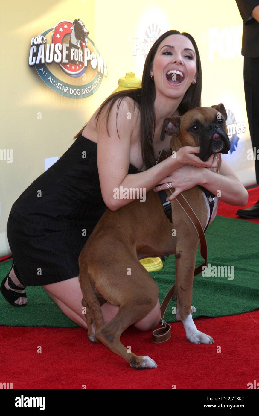 LOS ANGELES - 22 NOVEMBRE : Whitney Cummings au Fox's 'cause for Paws: All-Star Dog Spectacular' au Barker Hanger le 22 novembre 2014 à Santa Monica, CA Banque D'Images